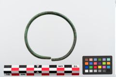 Foto von Bronzearmreif (NHMW-PRAE-024273)